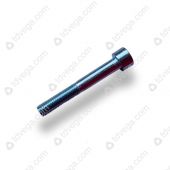 Болт втулки суппорта М10х1,5-6Gх70 